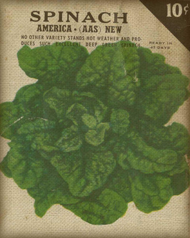 Heirloom Variety VI Black Ornate Wood Framed Art Print with Double Matting by Fagalde, Jarman