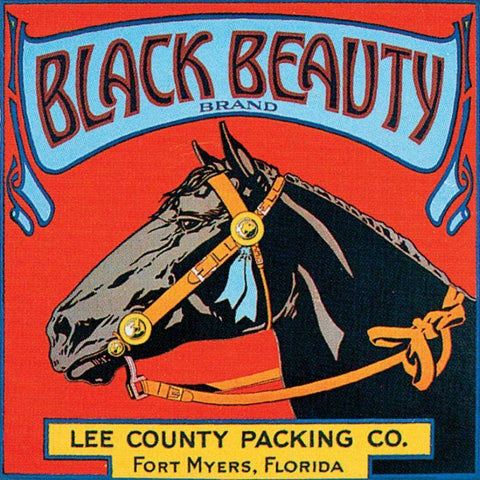 Black Beauty Black Ornate Wood Framed Art Print with Double Matting by Vision Studio