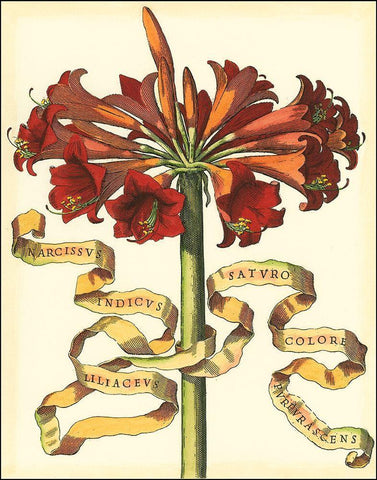 Ribbon Florals I Black Ornate Wood Framed Art Print with Double Matting by Vision Studio