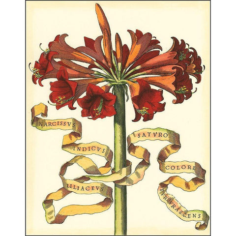 Ribbon Florals I Gold Ornate Wood Framed Art Print with Double Matting by Vision Studio