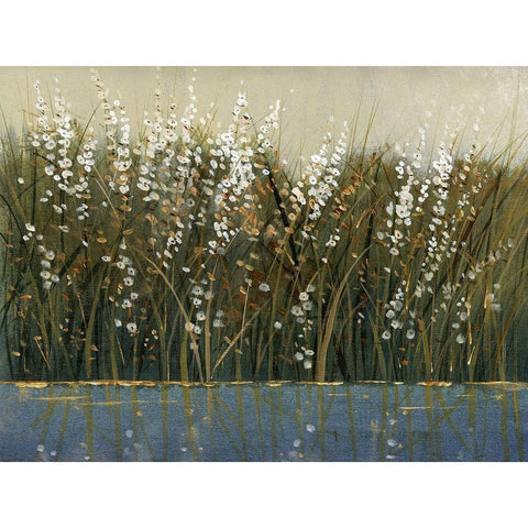By the Tall Grass I White Modern Wood Framed Art Print by OToole, Tim