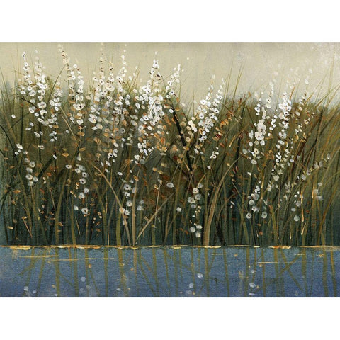 By the Tall Grass I Black Modern Wood Framed Art Print by OToole, Tim