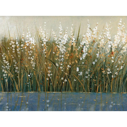 By the Tall Grass II White Modern Wood Framed Art Print by OToole, Tim