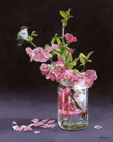 Quince and Ruby I White Modern Wood Framed Art Print with Double Matting by Szatkowski, Fred