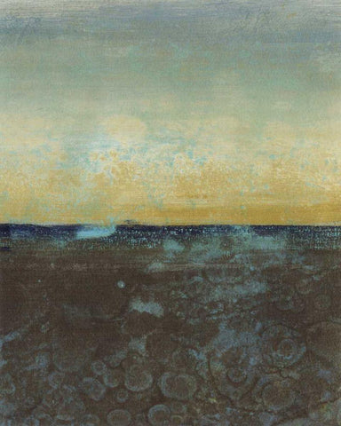 Diffused Light III Black Ornate Wood Framed Art Print with Double Matting by Green-Aldridge, W.