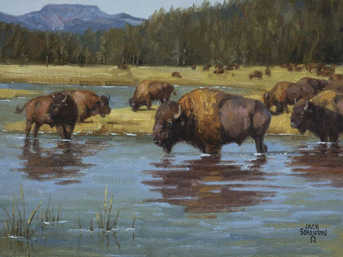 Buffalo Crossing Black Ornate Wood Framed Art Print with Double Matting by Sorenson, Jack