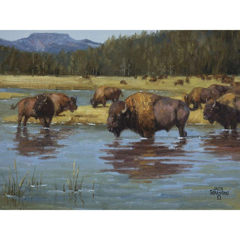 Buffalo Crossing Black Modern Wood Framed Art Print with Double Matting by Sorenson, Jack