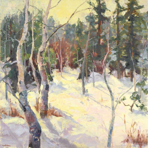 Four Seasons Aspens IV Black Modern Wood Framed Art Print by Oleson, Nanette