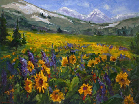 Sierra Awakenings II White Modern Wood Framed Art Print with Double Matting by Oleson, Nanette
