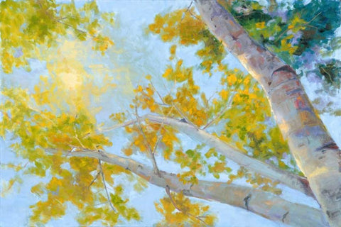 Aspen Canopy White Modern Wood Framed Art Print with Double Matting by Oleson, Nanette