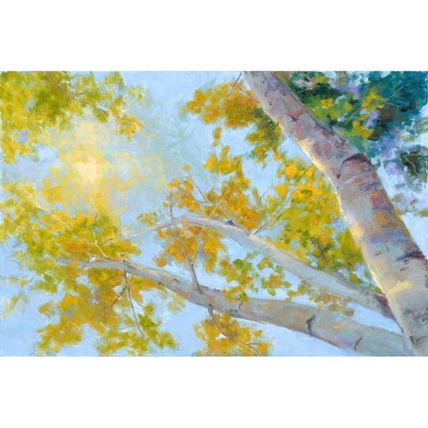 Aspen Canopy Black Modern Wood Framed Art Print by Oleson, Nanette