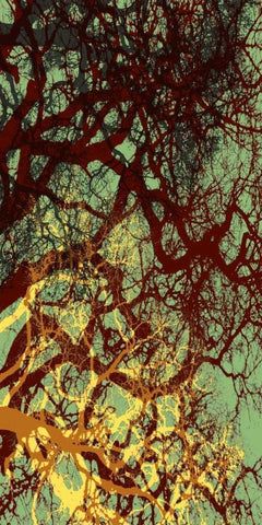 Entangle I White Modern Wood Framed Art Print with Double Matting by Burghardt, James