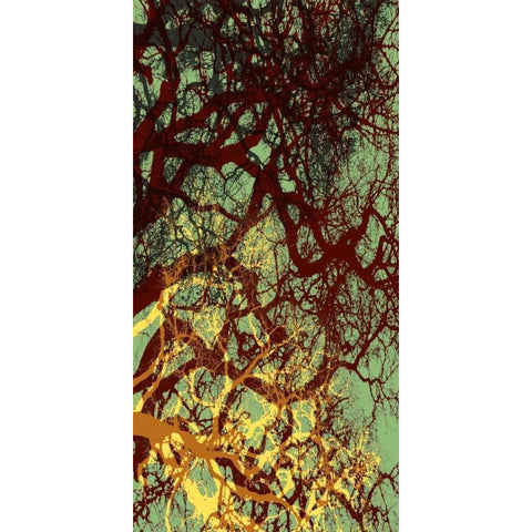 Entangle I Black Modern Wood Framed Art Print by Burghardt, James