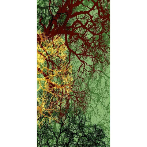 Entangle II Black Modern Wood Framed Art Print with Double Matting by Burghardt, James
