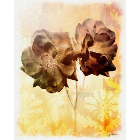 Brocade Garden I Black Modern Wood Framed Art Print with Double Matting by Burghardt, James