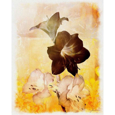 Brocade Garden II Black Modern Wood Framed Art Print with Double Matting by Burghardt, James