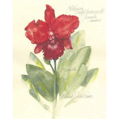 Elissas Garden I Gold Ornate Wood Framed Art Print with Double Matting by Della-Piana, Elissa