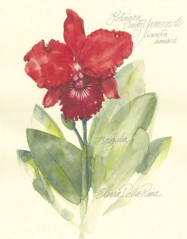 Elissas Garden I White Modern Wood Framed Art Print with Double Matting by Della-Piana, Elissa