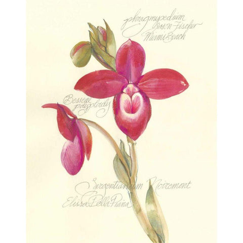 Elissas Garden II Gold Ornate Wood Framed Art Print with Double Matting by Della-Piana, Elissa