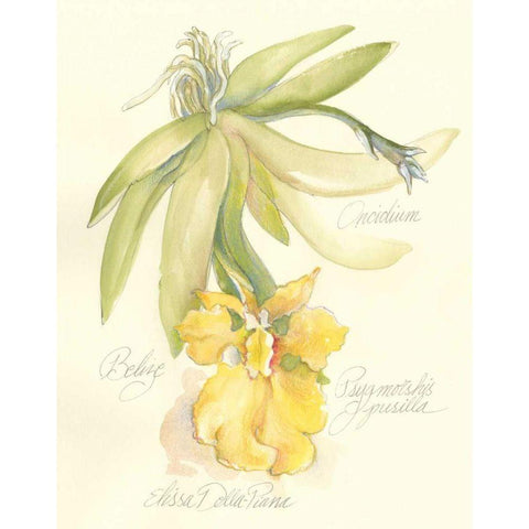 Elissas Garden III Black Modern Wood Framed Art Print by Della-Piana, Elissa