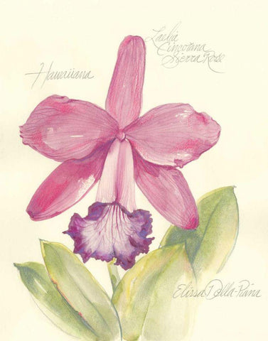 Elissas Garden V Black Ornate Wood Framed Art Print with Double Matting by Della-Piana, Elissa