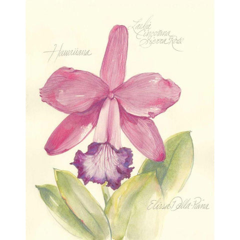 Elissas Garden V Black Modern Wood Framed Art Print by Della-Piana, Elissa