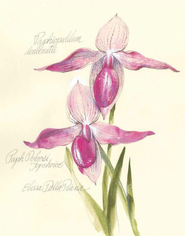 Elissas Garden VI Black Ornate Wood Framed Art Print with Double Matting by Della-Piana, Elissa