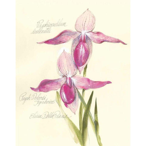 Elissas Garden VI Gold Ornate Wood Framed Art Print with Double Matting by Della-Piana, Elissa