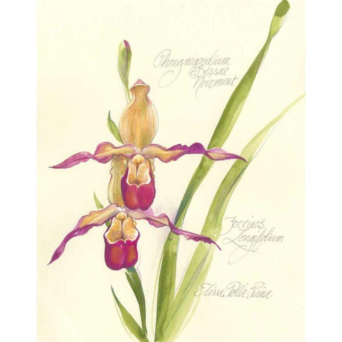 Elissas Garden VII Black Modern Wood Framed Art Print by Della-Piana, Elissa