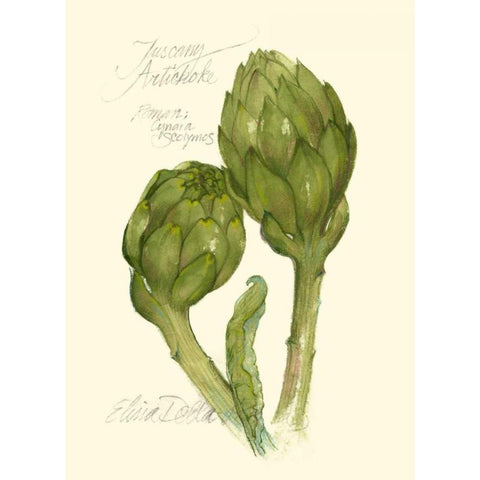 Tuscany Artichoke White Modern Wood Framed Art Print by Della-Piana, Elissa