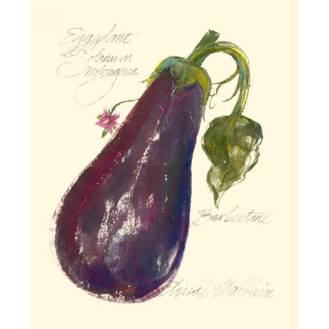 Eggplant Solanum Melongena White Modern Wood Framed Art Print by Della-Piana, Elissa