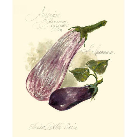 Aubergine Eggplant Gold Ornate Wood Framed Art Print with Double Matting by Della-Piana, Elissa