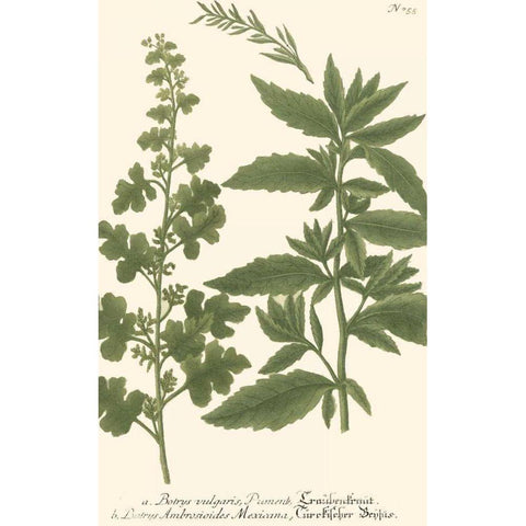 Weinmann Leaves III Gold Ornate Wood Framed Art Print with Double Matting by Weinmann