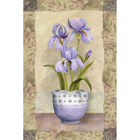 Spring Iris Black Modern Wood Framed Art Print with Double Matting by White, Abby