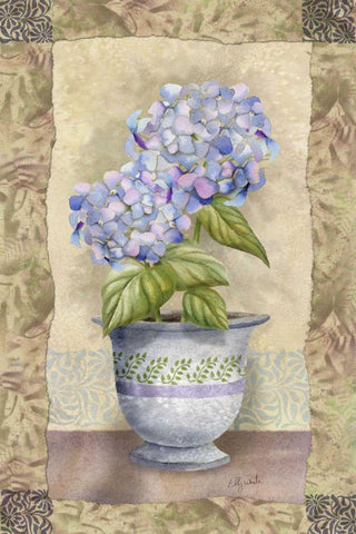 Spring Hydrangea White Modern Wood Framed Art Print with Double Matting by White, Abby