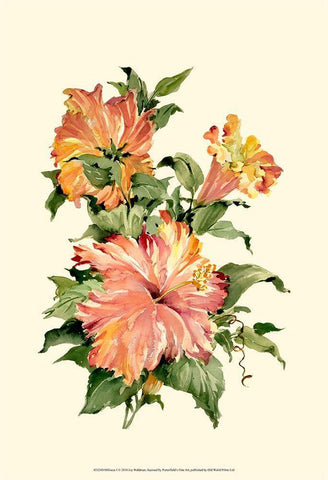 Hibiscus I White Modern Wood Framed Art Print with Double Matting by Waldman, Joy