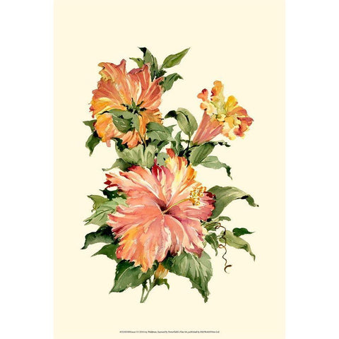 Hibiscus I Gold Ornate Wood Framed Art Print with Double Matting by Waldman, Joy