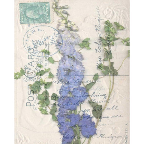 Small Postcard Wildflowers II White Modern Wood Framed Art Print by Goldberger, Jennifer