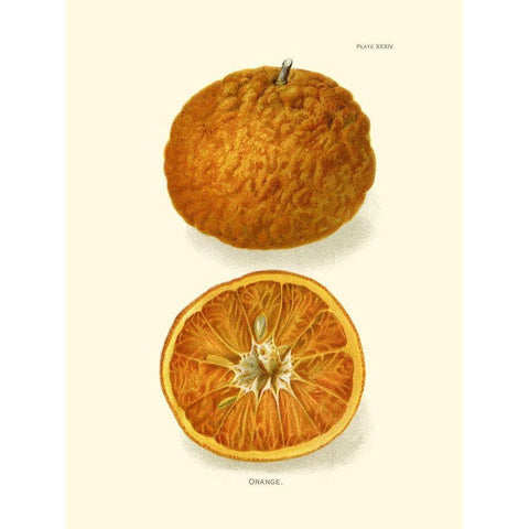 Orange White Modern Wood Framed Art Print by Unknown