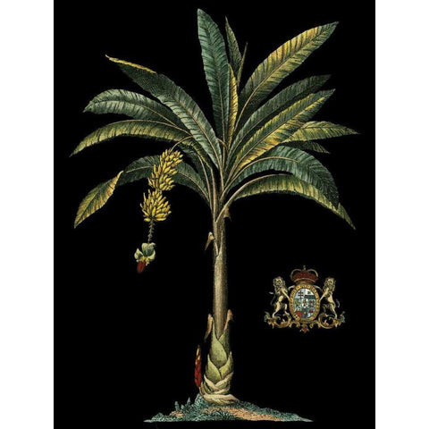 Palm and Crest on Black I Black Modern Wood Framed Art Print with Double Matting by Vision Studio