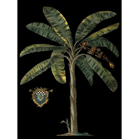 Palm and Crest on Black II Black Modern Wood Framed Art Print with Double Matting by Vision Studio