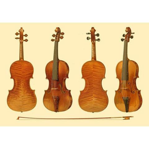 Antique Violins I White Modern Wood Framed Art Print by Gibb, William