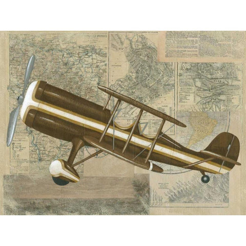 Tour by Plane I Gold Ornate Wood Framed Art Print with Double Matting by Zarris, Chariklia