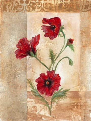 Red Poppies III White Modern Wood Framed Art Print with Double Matting by Cuozzo, Marianne D.