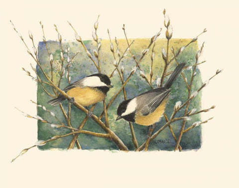 Chickadees and Pussy Willow White Modern Wood Framed Art Print with Double Matting by Mandel, Janet