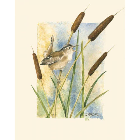 Marsh Wren and Cattails Black Modern Wood Framed Art Print by Mandel, Janet
