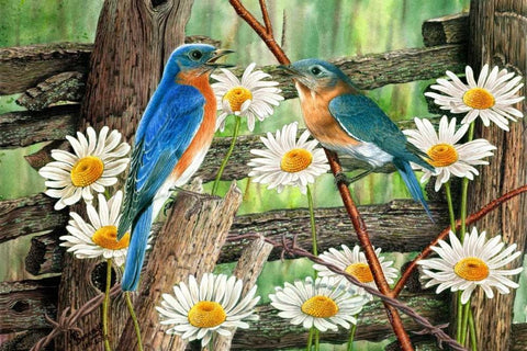 Serenade in Blue Black Ornate Wood Framed Art Print with Double Matting by Dornish, Al