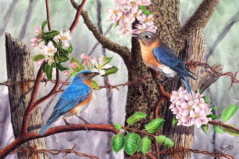 Bluebirds Black Ornate Wood Framed Art Print with Double Matting by Dornish, Al