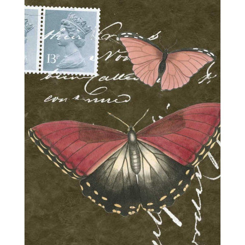 Le Papillon Script II Black Modern Wood Framed Art Print with Double Matting by Vision Studio