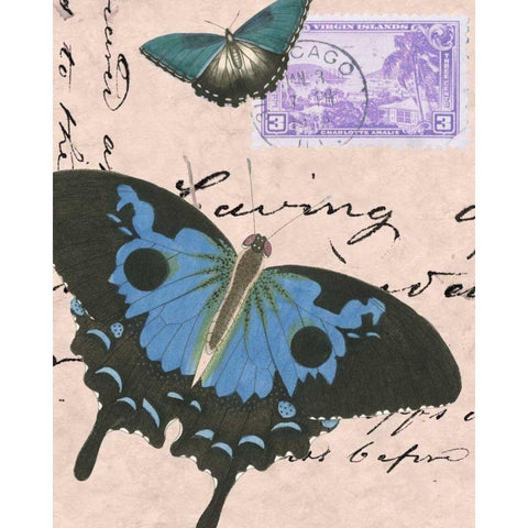 Le Papillon Script V Black Modern Wood Framed Art Print with Double Matting by Vision Studio